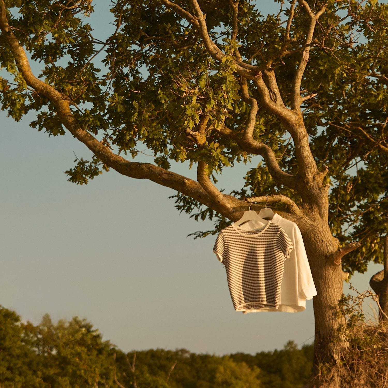 Verantwortung statt Vernichtung | Warum wir keine Kleidung zerstören