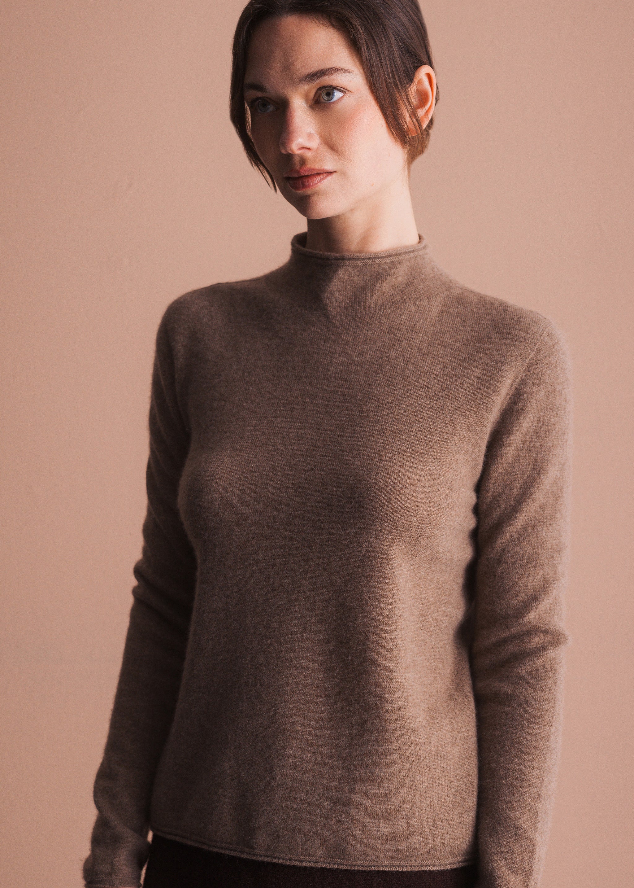 Pullover mit Stehkragen aus Kaschmir